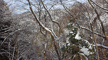 p1150041_thumb.jpg