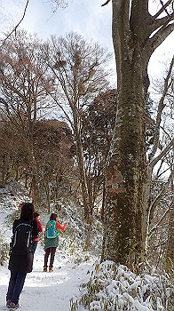 p1150045_thumb.jpg