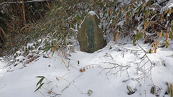 p1150049_thumb.jpg