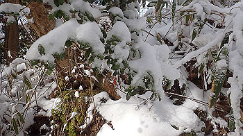 p1150058_thumb.jpg