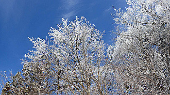 p1150077_thumb.jpg