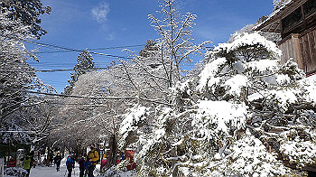 p1150085_thumb.jpg