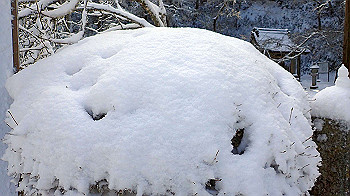 p1150088_thumb.jpg