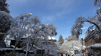 p1150101_thumb.jpg