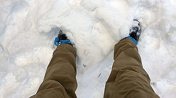 p1150102_thumb.jpg