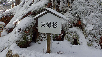 p1150109_thumb.jpg