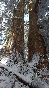 p1150110_thumb.jpg