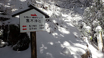 p1150118_thumb.jpg