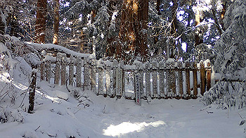 p1150140_thumb.jpg