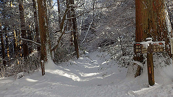 p1150160_thumb.jpg