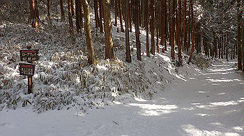 p1150164_thumb.jpg