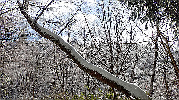 p1150177_thumb.jpg