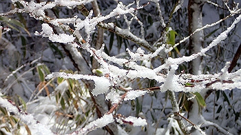 p1150180_thumb.jpg