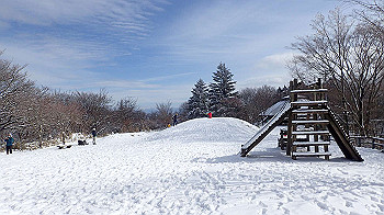 p1150190_thumb.jpg