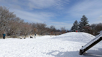 p1150192_thumb.jpg