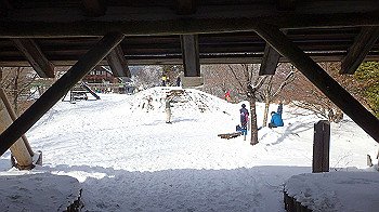 p1150201_thumb.jpg