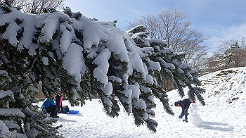 p1150203_thumb.jpg
