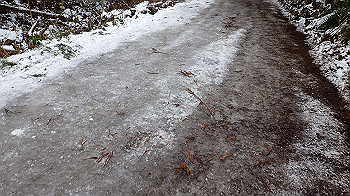 p1150223_thumb.jpg