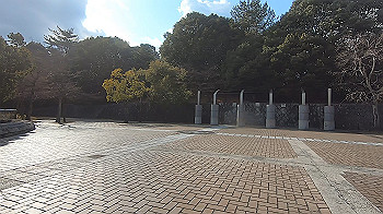 gx014118.mp4_snapshot_02.01_thumb.jpg