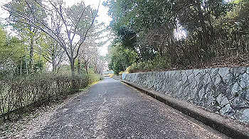 gx014118.mp4_snapshot_03.47_thumb.jpg