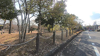 gx014118.mp4_snapshot_04.58_thumb.jpg