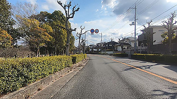 gx014118.mp4_snapshot_05.30_thumb.jpg