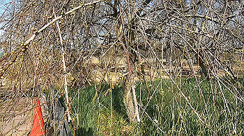 gx014124.mp4_snapshot_00.10_thumb.jpg
