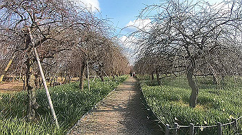 gx014124.mp4_snapshot_00.18_thumb.jpg