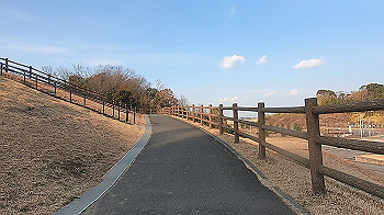 gx014134.mp4_snapshot_00.29_thumb.jpg