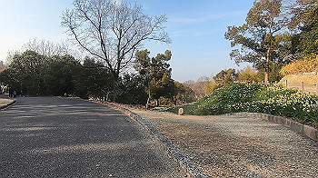 gx014134.mp4_snapshot_02.03_thumb.jpg