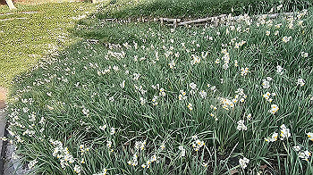 gx014135.mp4_snapshot_00.24_thumb.jpg