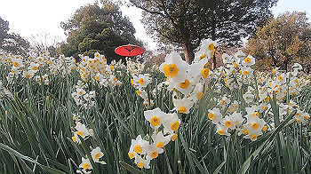 gx014135.mp4_snapshot_00.42_thumb.jpg