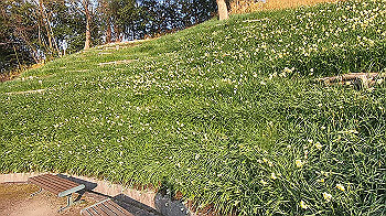 gx014135.mp4_snapshot_01.13_thumb.jpg
