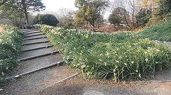 gx014135.mp4_snapshot_01.20_thumb.jpg