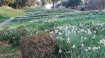gx014136.mp4_snapshot_00.38_thumb.jpg