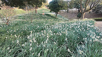 gx014136.mp4_snapshot_01.07_thumb.jpg