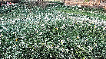 gx014137.mp4_snapshot_00.26_thumb.jpg