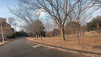gx014139.mp4_snapshot_00.04_thumb.jpg