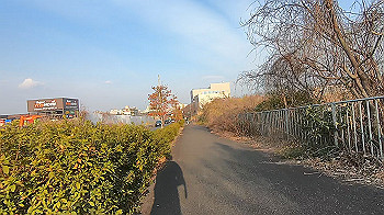 gx014144.mp4_snapshot_00.36_thumb.jpg