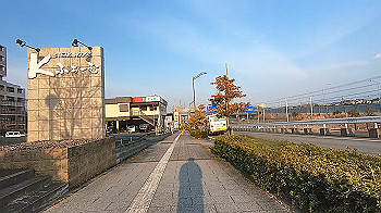 gx014146.mp4_snapshot_00.38_thumb.jpg