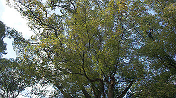 dsc02654_thumb.jpg