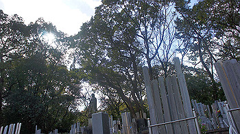 dsc02655_thumb.jpg