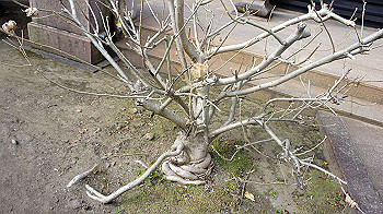 dsc02667_thumb.jpg