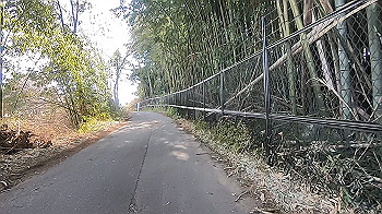 gx014151.mp4_snapshot_00.02_thumb.jpg