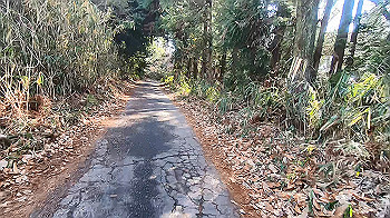 gx014153.mp4_snapshot_00.00_thumb.jpg