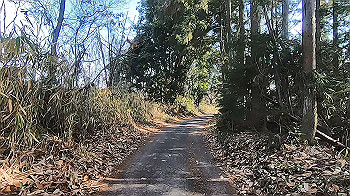 gx014153.mp4_snapshot_00.18_thumb.jpg