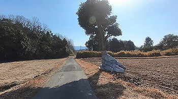 gx014153.mp4_snapshot_01.30_thumb.jpg