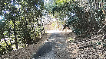 gx014155.mp4_snapshot_01.50_thumb.jpg