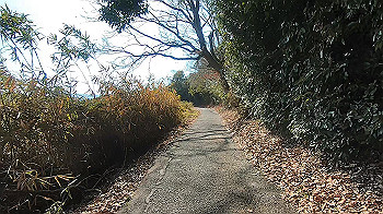 gx014155.mp4_snapshot_02.27_thumb.jpg
