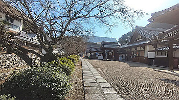 gx014371.mp4_snapshot_00.24_thumb.jpg